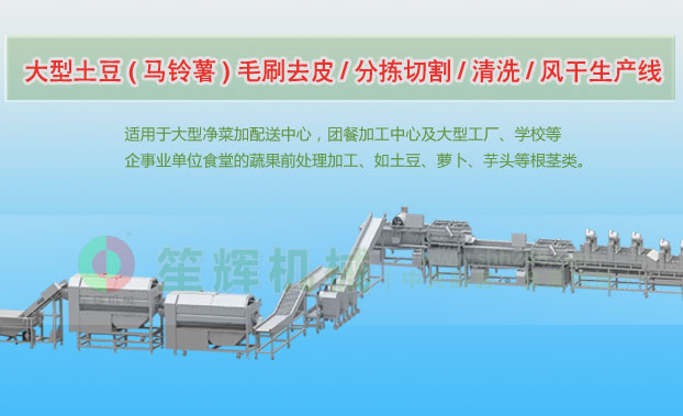 繁昌连续式土豆去皮清洗切割风干生产线